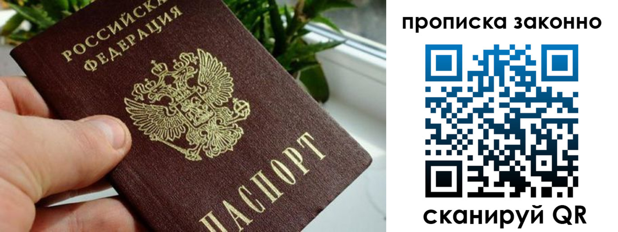 прописка гарантия в Вольске